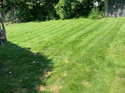 Lawn Care service in Pinckney, 48169