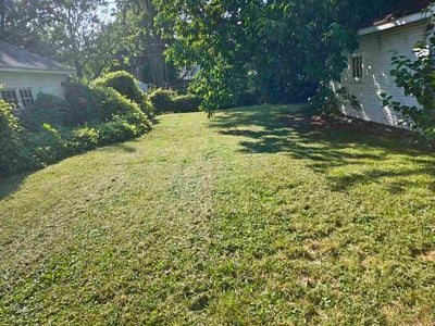 Lawn Care service in Charlotte, 48813