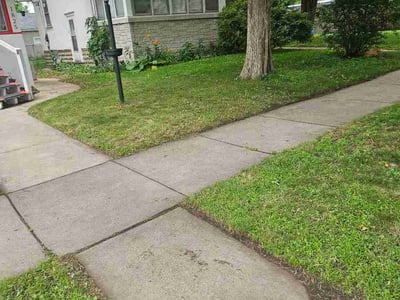 Lawn Care service in Brooklyn Park, 55443