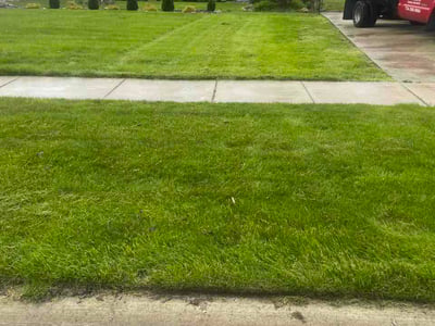 Lawn Care service in Pinckney, 48169