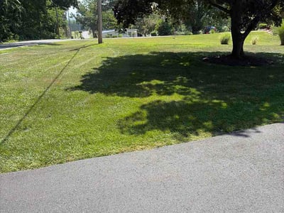 Lawn Care service in Olney, 20832