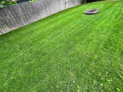 Lawn Care service in Blaine, 55434