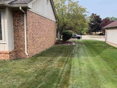 Lawn Care service in Livonia, 48150