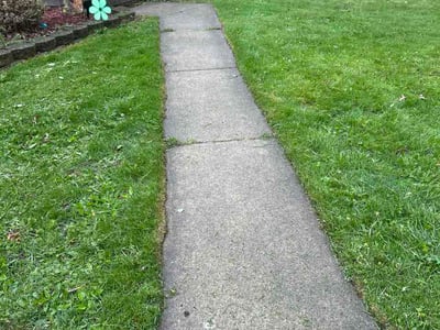 Lawn Care service in Livonia, 48150