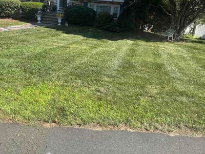Lawn Care service in Randolph, 02368