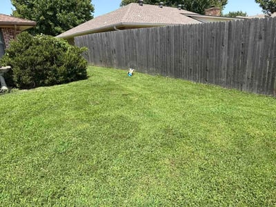 Lawn Care service in Randolph, 02368