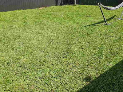 Lawn Care service in Pompano Beach, 33060