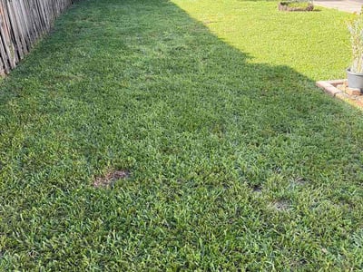Lawn Care service in Pompano Beach, 33060