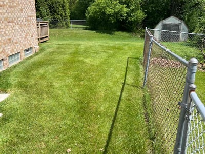 Lawn Care service in West Bloomfield, 48323
