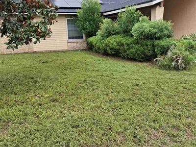 Lawn Care service in Ocoee, 34761