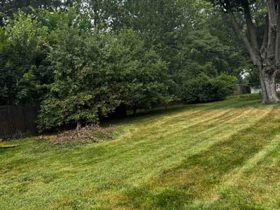 Lawn Care service in Lansing, 48933