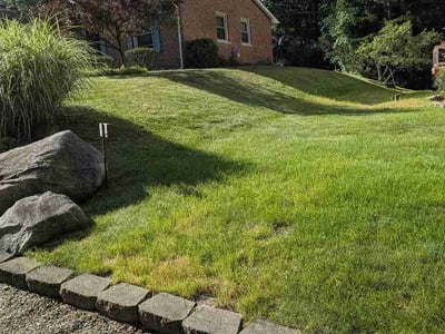 Lawn Care service in West Bloomfield, 48323
