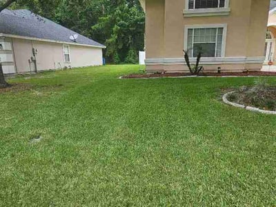 Lawn Care service in Atlantic Beach, 32233