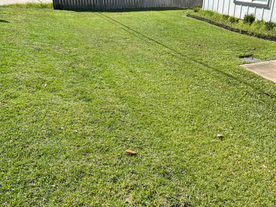 Lawn Care service in Pensacola, 32501