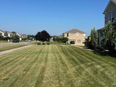 Lawn Care service in Avon, 06001