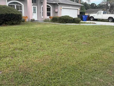 Lawn Care service in Windermere, 34786