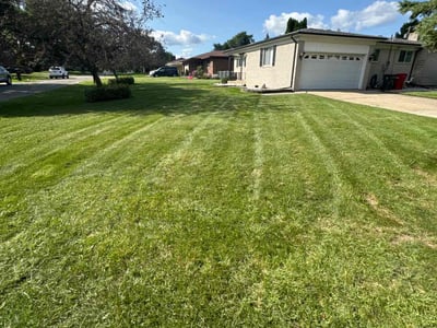 Lawn Care service in Clinton Township, 48036