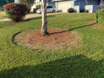 Lawn Care service in Deland, 32720