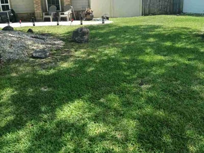 Lawn Care service in Naples, 34102