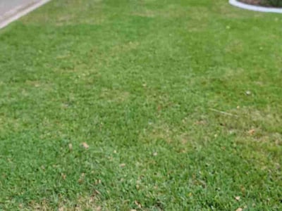 Lawn Care service in Coral Springs, 33065