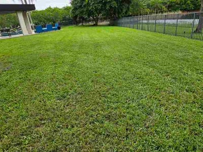Lawn Care service in Coral Springs, 33065
