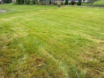 Lawn Care service in Macomb, 48044