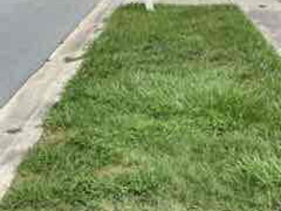 Lawn Care service in Merritt Island, 32952