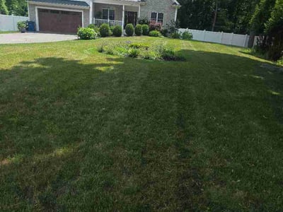 Lawn Care service in Roslindale, 02131