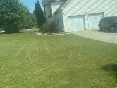 Lawn Care service in Roslindale, 02131