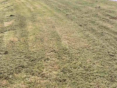 Lawn Care service in Roslindale, 02131
