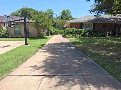 Lawn Care service in Roslindale, 02131