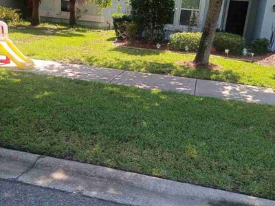 Lawn Care service in Green Cove Springs, 32043