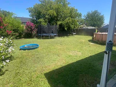 Lawn Care service in Hamden, 06518