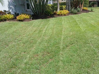 Lawn Care service in Longwood, 32750