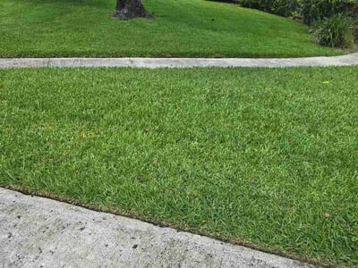 Lawn Care service in Longwood, 32750