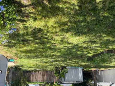 Lawn Care service in Winter Park, 32789