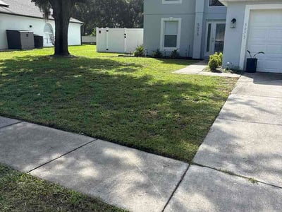 Lawn Care service in Lady Lake, 32159