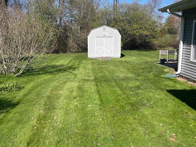 Lawn Care service in Newington, 06111