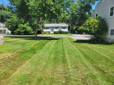 Lawn Care service in Framingham, 01702