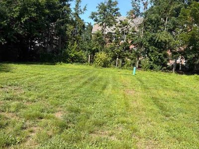 Lawn Care service in West Hartford, 06107