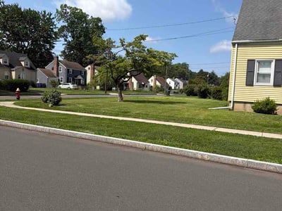 Lawn Care service in West Hartford, 06107