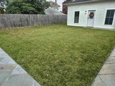 Lawn Care service in Burke, 22009