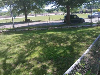 Lawn Care service in Burke, 22009
