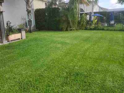 Lawn Care service in Conway, 32812