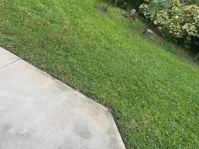 Lawn Care service in Boynton Beach, 33426