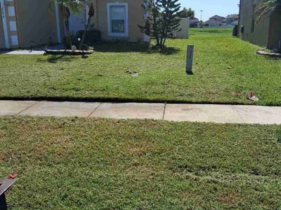 Lawn Care service in Conway, 32812