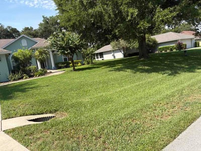 Lawn Care service in Boynton Beach, 33426