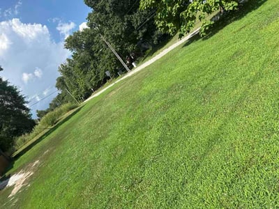 Lawn Care service in Willimantic, 06226