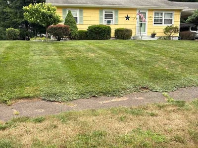 Lawn Care service in Southington, 06489