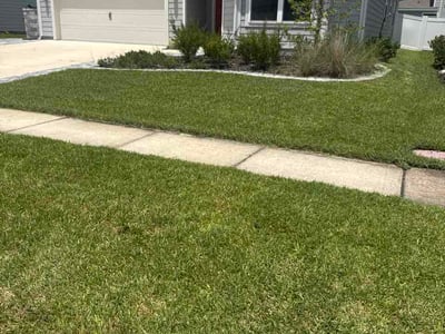 Lawn Care service in Deerfield Beach, 33441
